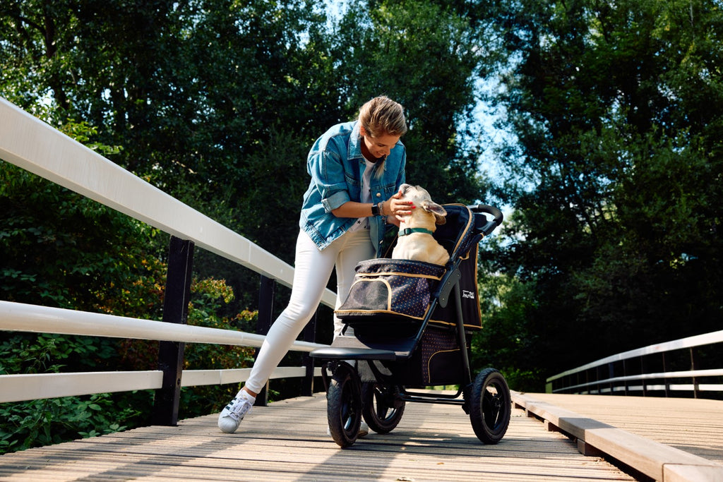 Are Pet Strollers a Good Idea? Unveiling the Benefits for Your Furry Friends