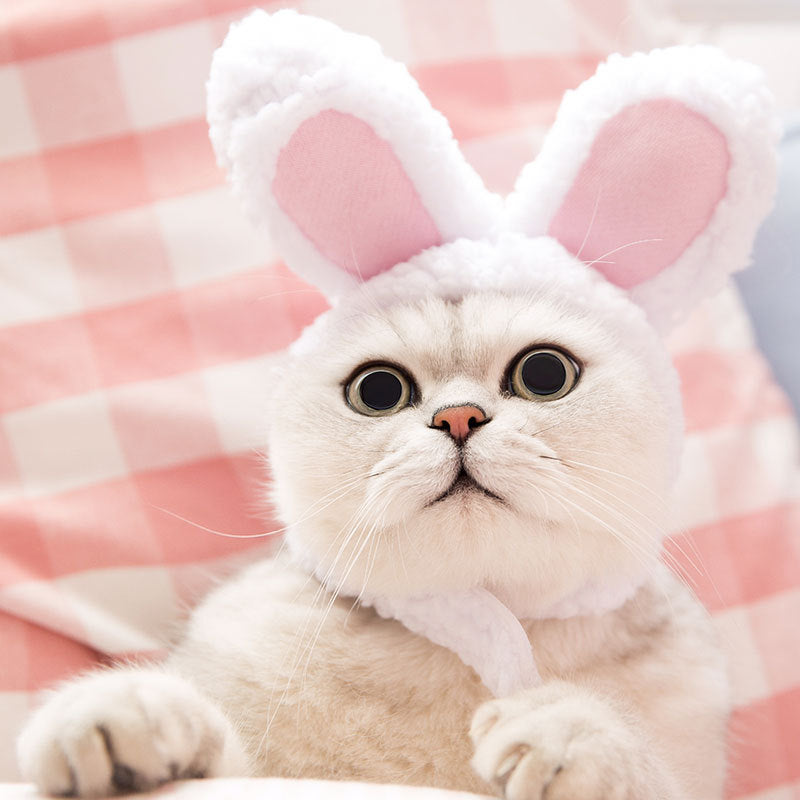 A British Shorthair cat poses adorably with a fluffy white and pink bunny hat, complete with long rabbit ears. Its wide-eyed expression and small pink nose give it an innocent and cute look. The background features a pink and white checkered pattern, complementing the playful and sweet theme of the image