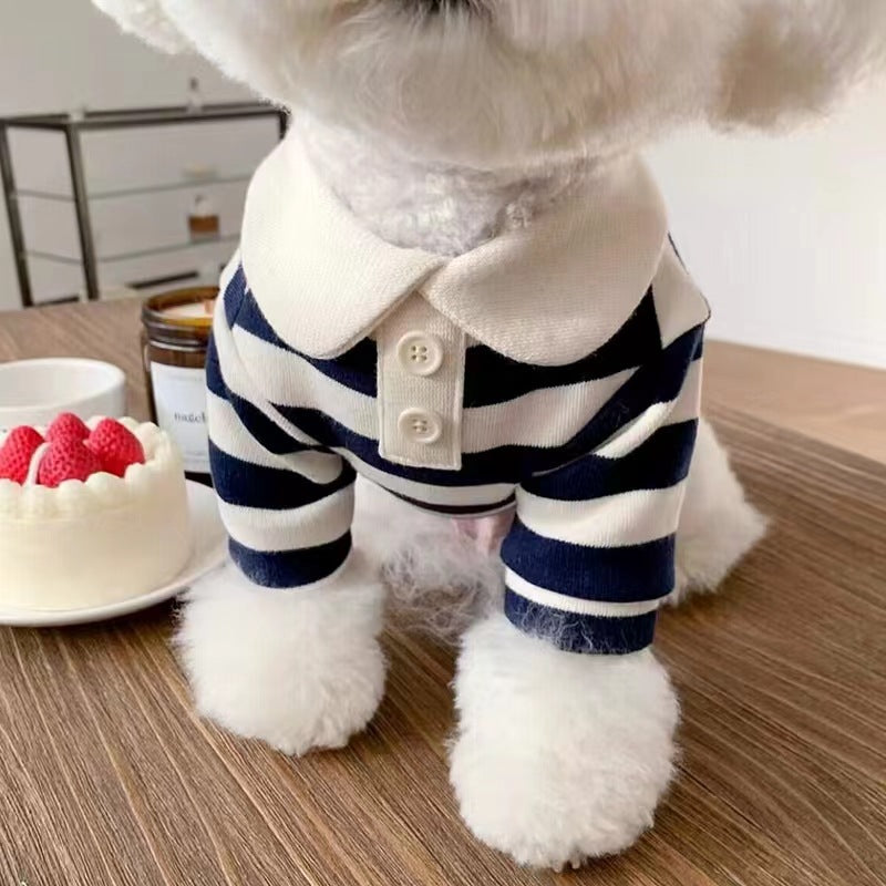 A white fluffy dog wearing a red and white striped polo shirt sits at a wooden table, looking up with a soft, attentive gaze. Beside the dog is a white plate with a small cake topped with raspberries, a jar of honey, and a cup with French text, creating a cozy and domestic scene.