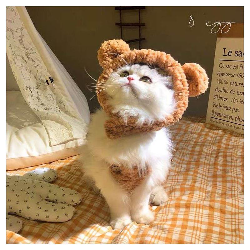 An adorable white cat with a plush caramel-brown teddy bear hat perched on its head gazes upwards. The hat features cute rounded bear ears and matches the fluffy fur around the cat's neck. The cat is sitting on a gingham-patterned orange and white fabric, which adds a cozy, homey feel to the image. Soft natural light pours in, giving the scene a serene and warm ambiance. A lace curtain and a printed fabric with French text add a charming vintage touch to the composition