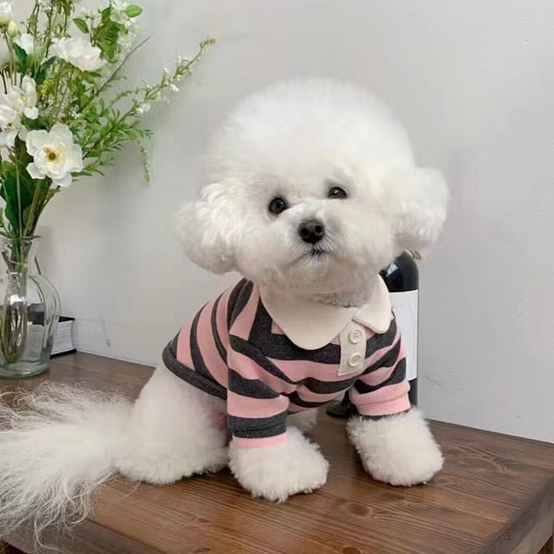 A white fluffy dog wearing a red and white striped polo shirt sits at a wooden table, looking up with a soft, attentive gaze. Beside the dog is a white plate with a small cake topped with raspberries, a jar of honey, and a cup with French text, creating a cozy and domestic scene.