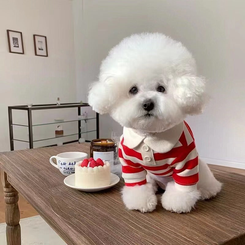 A white fluffy dog wearing a red and white striped polo shirt sits at a wooden table, looking up with a soft, attentive gaze. Beside the dog is a white plate with a small cake topped with raspberries, a jar of honey, and a cup with French text, creating a cozy and domestic scene.